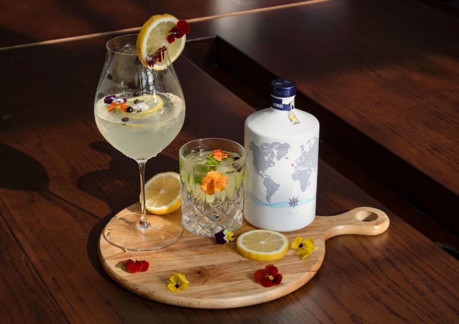 Gin mit Tonic und Botanicals