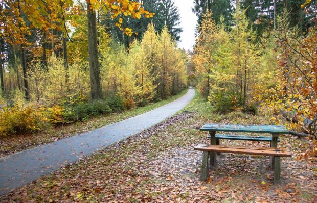 herbst picknick.jpg