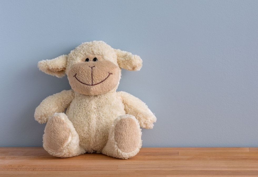 kuscheltier-für-kinder.jpg